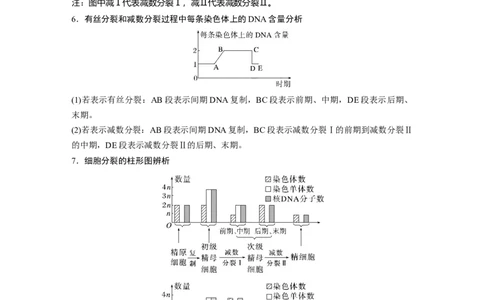 2024年高考生物一轮复习（新人教版）第4单元　第4课时　减数分裂与有丝分裂的比较及观察蝗虫精母细胞减数分裂装片_09高考生物_2024年新高考资料_1.2024一轮复习