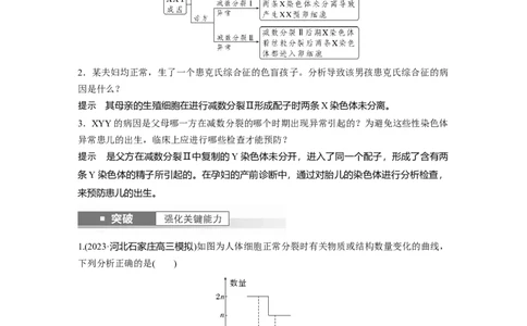 2024年高考生物一轮复习（新人教版）第4单元　第4课时　减数分裂与有丝分裂的比较及观察蝗虫精母细胞减数分裂装片_09高考生物_2024年新高考资料_1.2024一轮复习