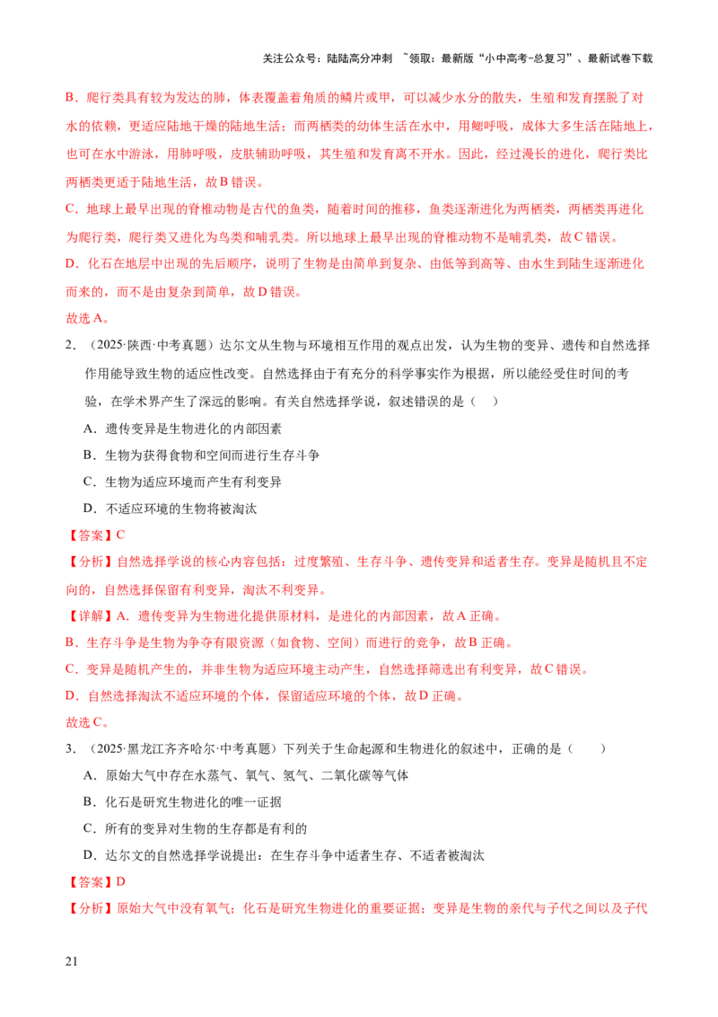 专题10生物进化与生物多样性的保护（全国通用）（解析版）_02中考总复习（2026版更新中）_08-生物-中考总复习_2026年中考复习（更新中）