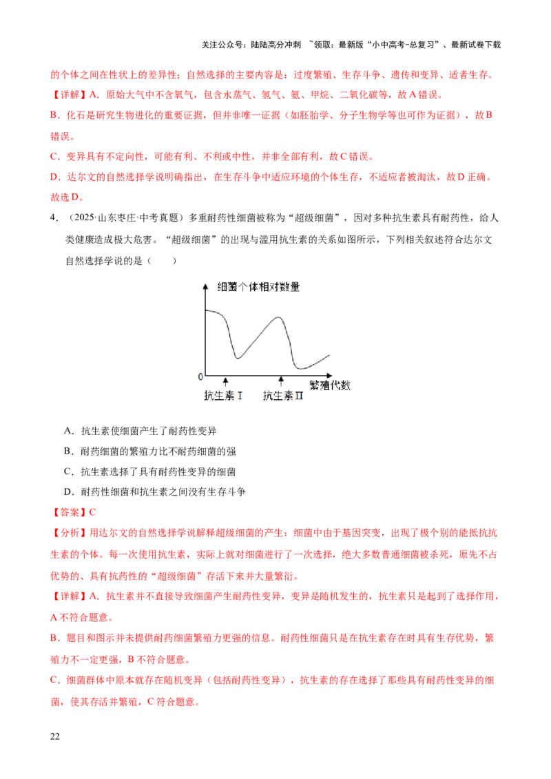 专题10生物进化与生物多样性的保护（全国通用）（解析版）_02中考总复习（2026版更新中）_08-生物-中考总复习_2026年中考复习（更新中）