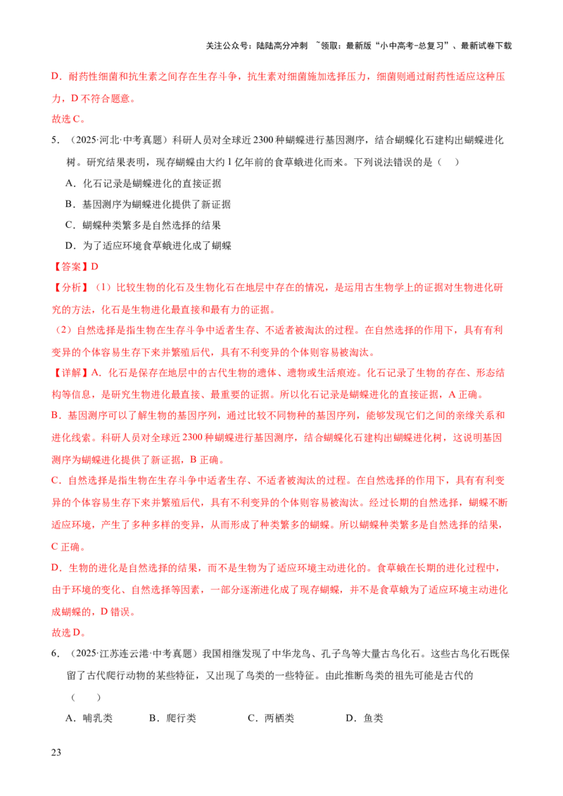 专题10生物进化与生物多样性的保护（全国通用）（解析版）_02中考总复习（2026版更新中）_08-生物-中考总复习_2026年中考复习（更新中）