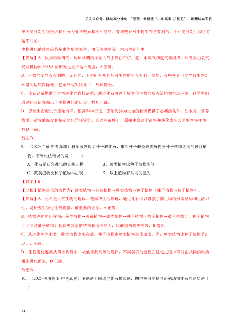 专题10生物进化与生物多样性的保护（全国通用）（解析版）_02中考总复习（2026版更新中）_08-生物-中考总复习_2026年中考复习（更新中）