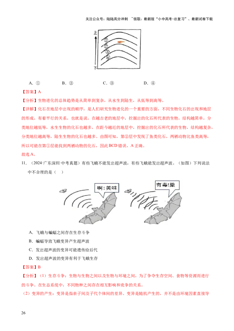 专题10生物进化与生物多样性的保护（全国通用）（解析版）_02中考总复习（2026版更新中）_08-生物-中考总复习_2026年中考复习（更新中）