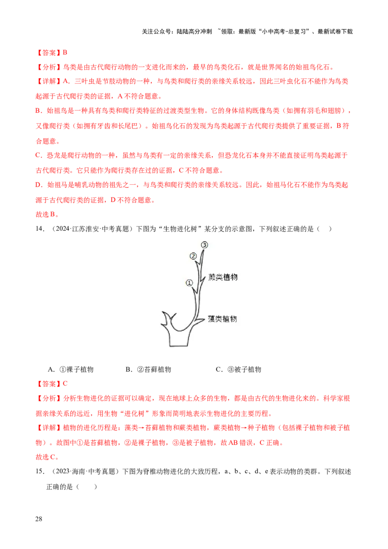 专题10生物进化与生物多样性的保护（全国通用）（解析版）_02中考总复习（2026版更新中）_08-生物-中考总复习_2026年中考复习（更新中）