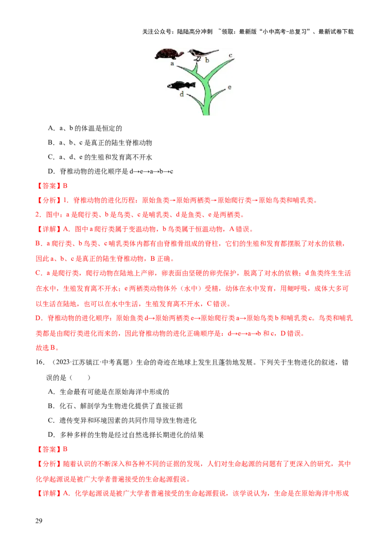 专题10生物进化与生物多样性的保护（全国通用）（解析版）_02中考总复习（2026版更新中）_08-生物-中考总复习_2026年中考复习（更新中）