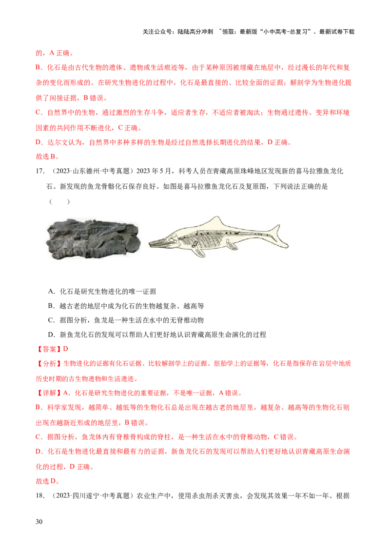 专题10生物进化与生物多样性的保护（全国通用）（解析版）_02中考总复习（2026版更新中）_08-生物-中考总复习_2026年中考复习（更新中）