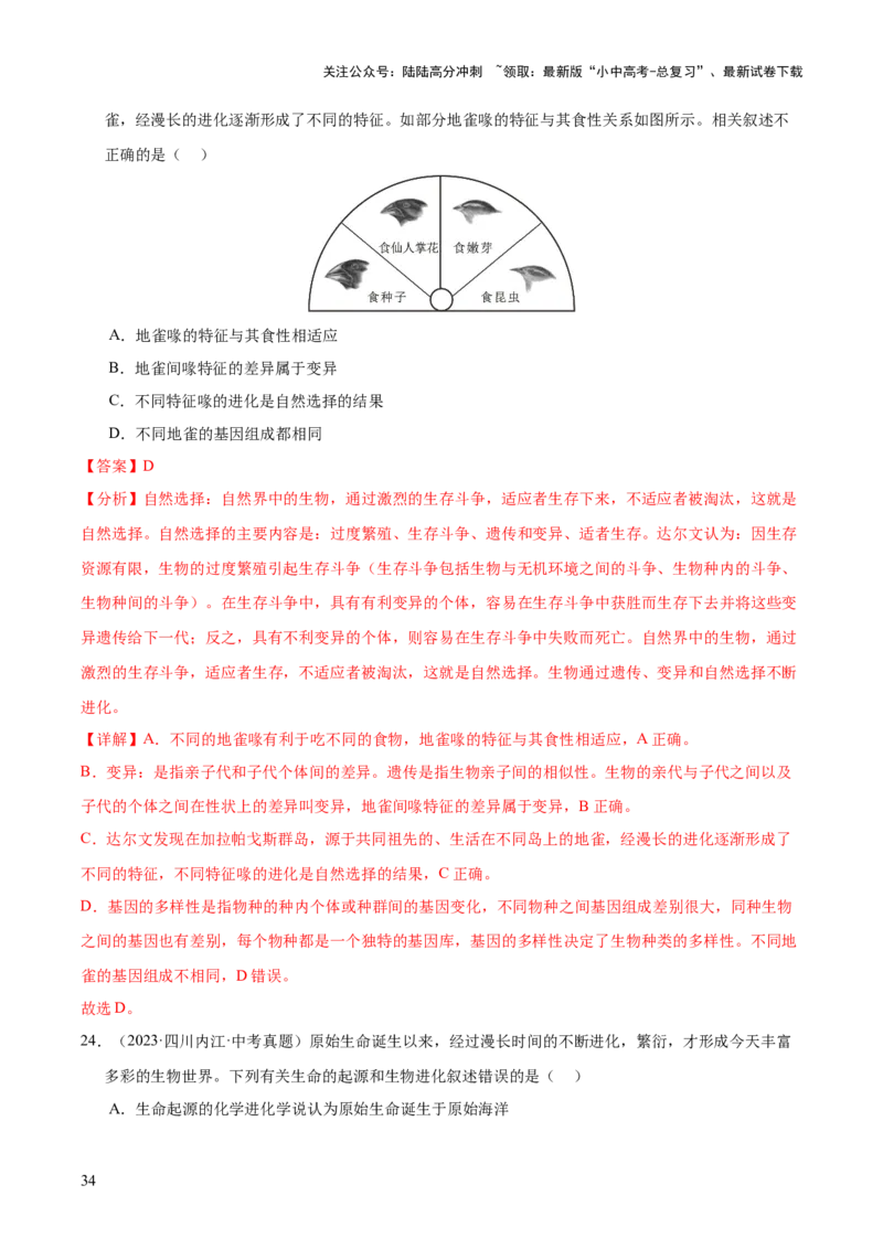 专题10生物进化与生物多样性的保护（全国通用）（解析版）_02中考总复习（2026版更新中）_08-生物-中考总复习_2026年中考复习（更新中）