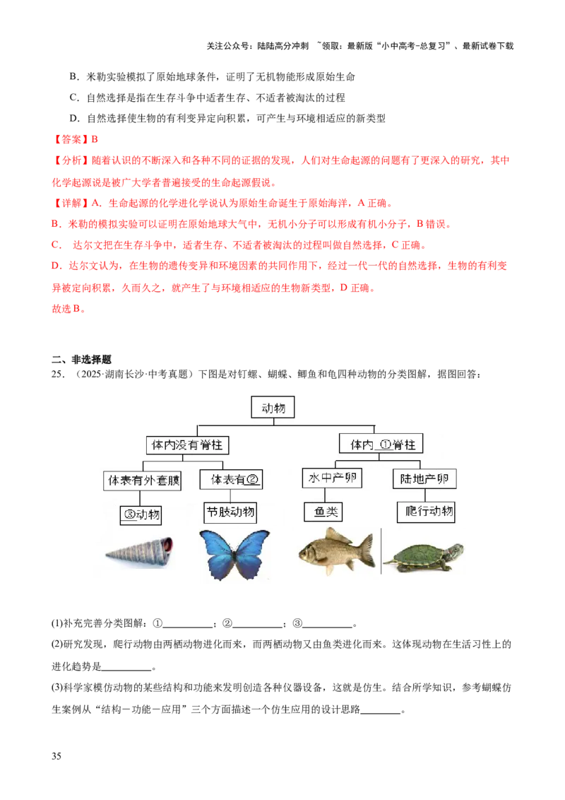 专题10生物进化与生物多样性的保护（全国通用）（解析版）_02中考总复习（2026版更新中）_08-生物-中考总复习_2026年中考复习（更新中）
