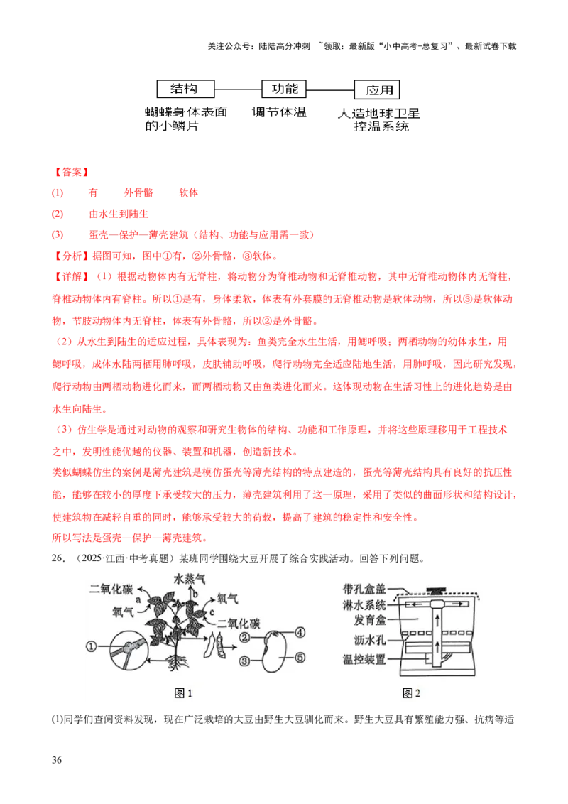 专题10生物进化与生物多样性的保护（全国通用）（解析版）_02中考总复习（2026版更新中）_08-生物-中考总复习_2026年中考复习（更新中）