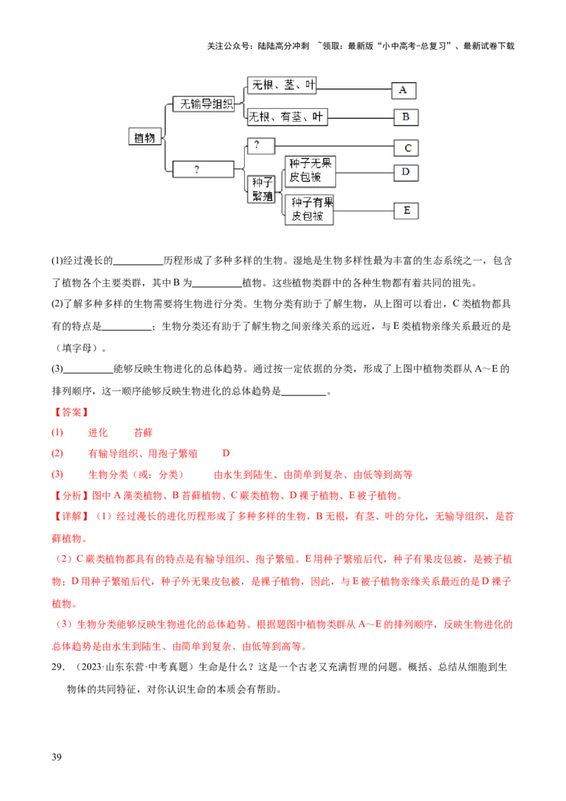 专题10生物进化与生物多样性的保护（全国通用）（解析版）_02中考总复习（2026版更新中）_08-生物-中考总复习_2026年中考复习（更新中）