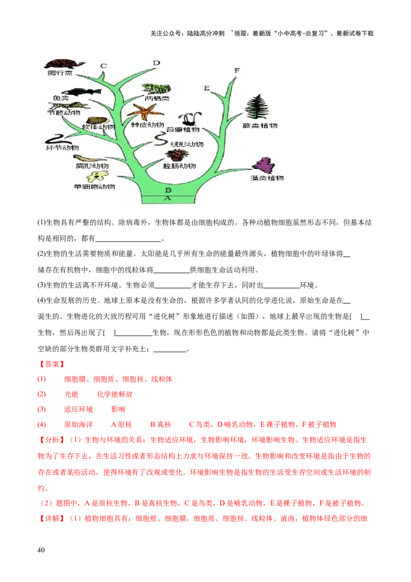 专题10生物进化与生物多样性的保护（全国通用）（解析版）_02中考总复习（2026版更新中）_08-生物-中考总复习_2026年中考复习（更新中）