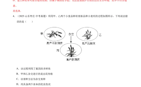 专题10生物进化与生物多样性的保护（全国通用）（解析版）_02中考总复习（2026版更新中）_08-生物-中考总复习_2026年中考复习（更新中）