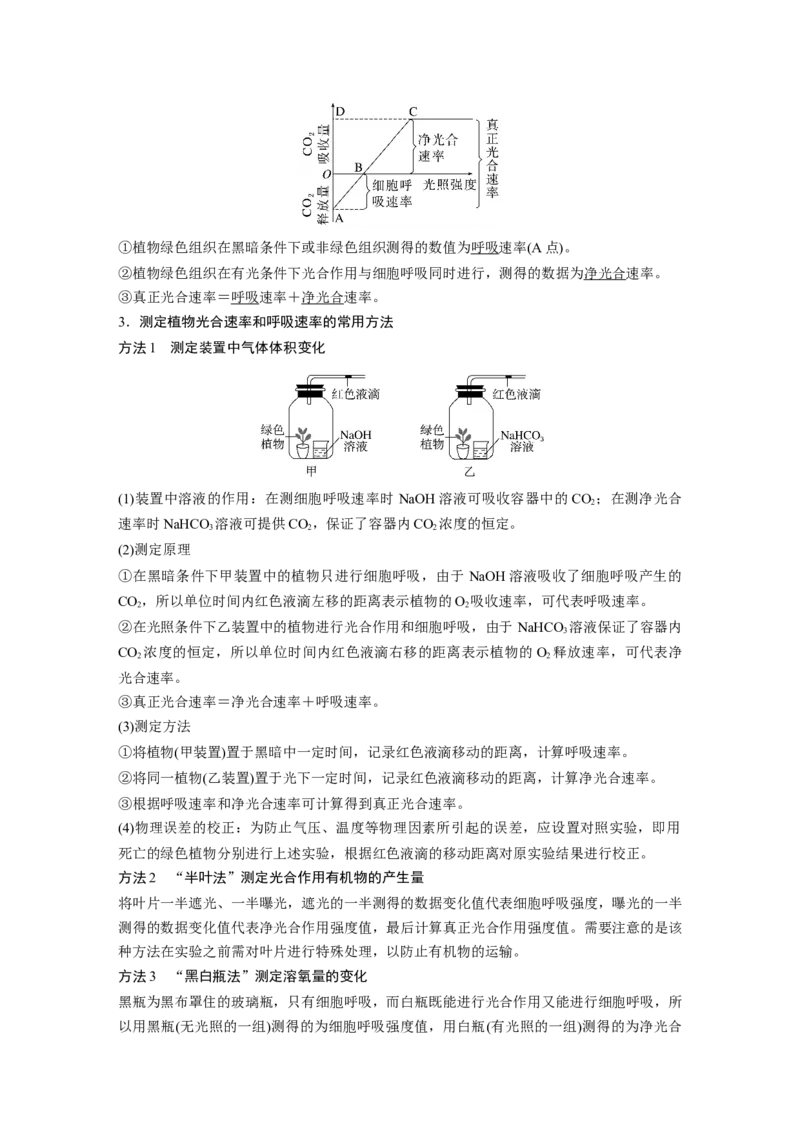 2024年高考生物一轮复习（新人教版）第3单元　第7课时　光合作用和细胞呼吸的综合分析_09高考生物_2024年新高考资料_1.2024一轮复习_2024年高考生物一轮复习讲义（新人教版）