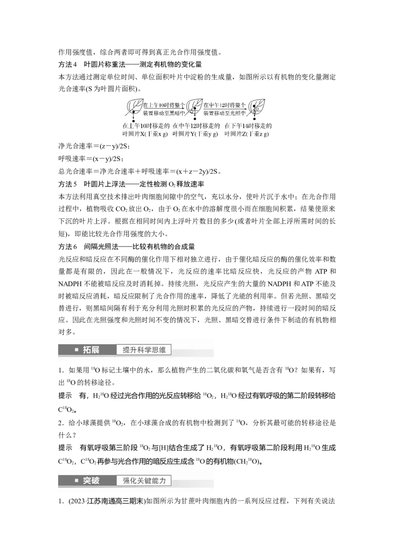 2024年高考生物一轮复习（新人教版）第3单元　第7课时　光合作用和细胞呼吸的综合分析_09高考生物_2024年新高考资料_1.2024一轮复习_2024年高考生物一轮复习讲义（新人教版）