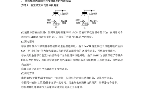 2024年高考生物一轮复习（新人教版）第3单元　第7课时　光合作用和细胞呼吸的综合分析_09高考生物_2024年新高考资料_1.2024一轮复习_2024年高考生物一轮复习讲义（新人教版）