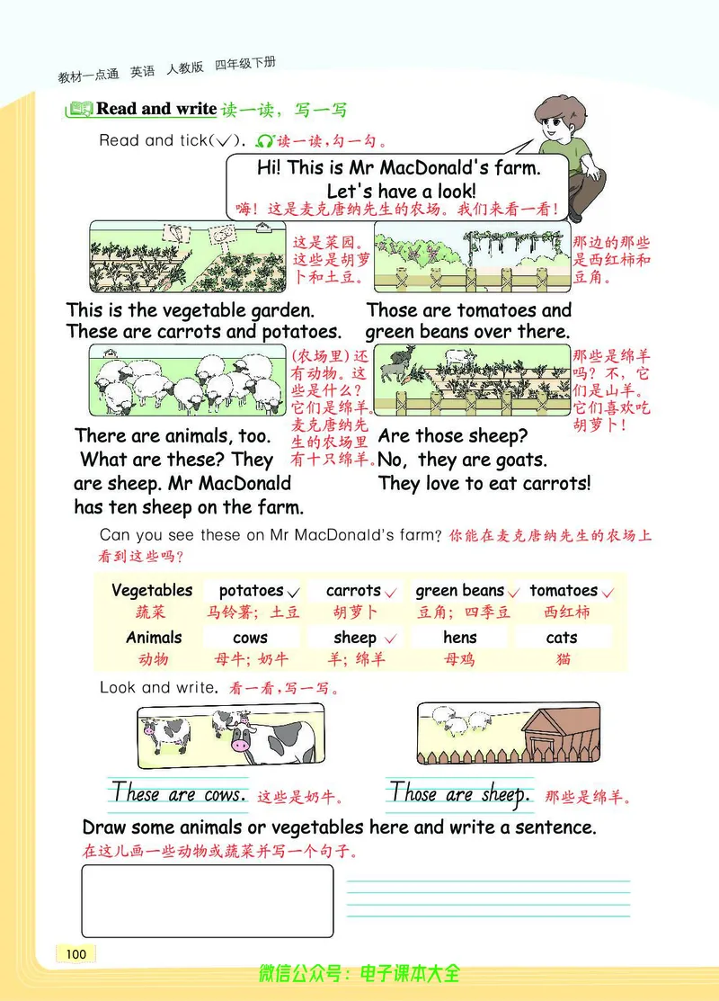 英语4B_26春四年级上下册人教版_四上英语合集人教版PEP英语四年级上册新教材（教学视频+课件+动画+音频+练习+教案）_17练习资料_小学英语（预习复习资料大礼包）_《教材一点通》