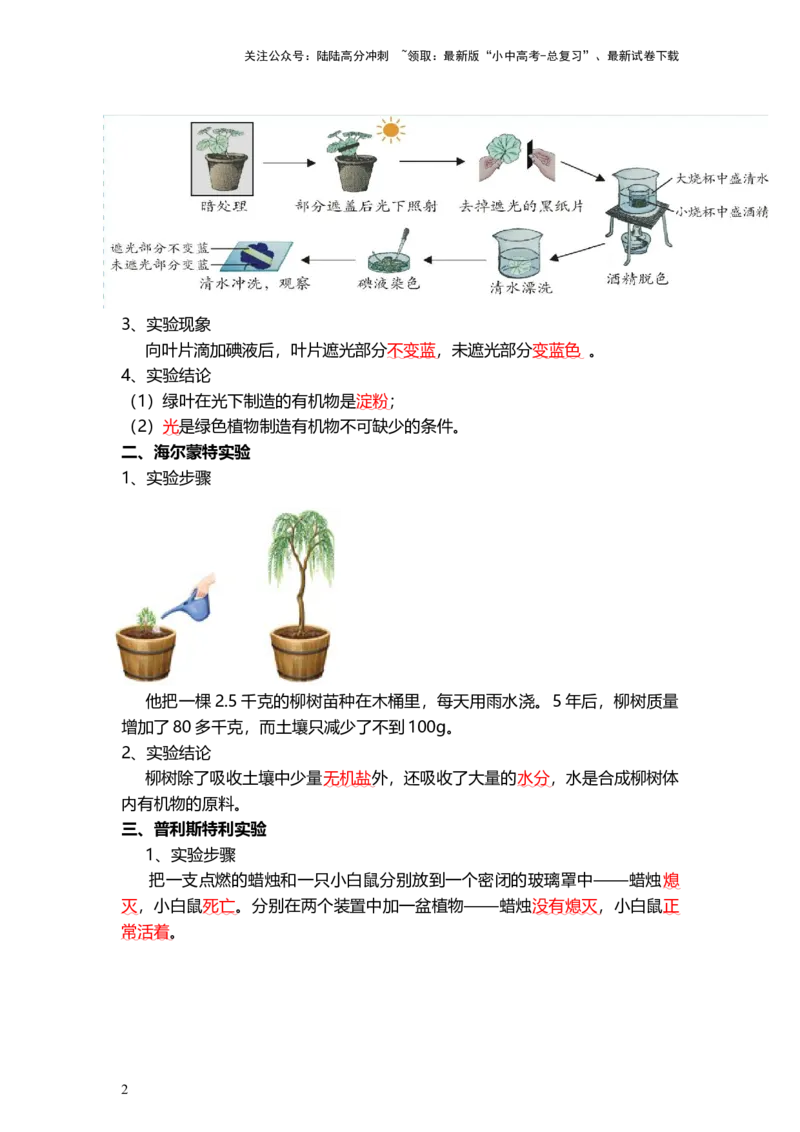 专题07绿色植物的光合作用（背记帮）-备战2024年中考生物一轮复习考点帮_02中考总复习（2026版更新中）_08-生物-中考总复习_2024年中考复习资料_一轮复习_必背考点