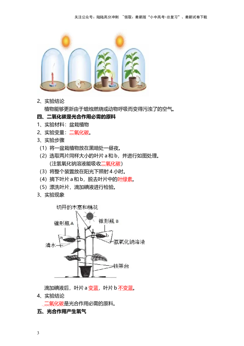 专题07绿色植物的光合作用（背记帮）-备战2024年中考生物一轮复习考点帮_02中考总复习（2026版更新中）_08-生物-中考总复习_2024年中考复习资料_一轮复习_必背考点