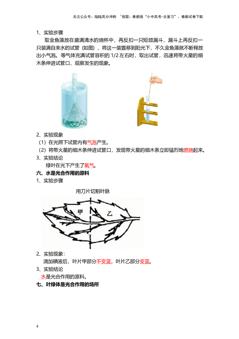 专题07绿色植物的光合作用（背记帮）-备战2024年中考生物一轮复习考点帮_02中考总复习（2026版更新中）_08-生物-中考总复习_2024年中考复习资料_一轮复习_必背考点