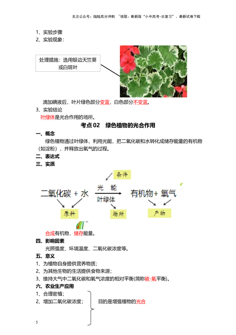 专题07绿色植物的光合作用（背记帮）-备战2024年中考生物一轮复习考点帮_02中考总复习（2026版更新中）_08-生物-中考总复习_2024年中考复习资料_一轮复习_必背考点