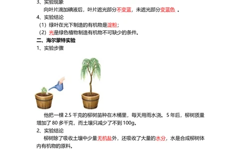 专题07绿色植物的光合作用（背记帮）-备战2024年中考生物一轮复习考点帮_02中考总复习（2026版更新中）_08-生物-中考总复习_2024年中考复习资料_一轮复习_必背考点