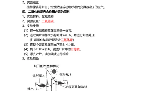 专题07绿色植物的光合作用（背记帮）-备战2024年中考生物一轮复习考点帮_02中考总复习（2026版更新中）_08-生物-中考总复习_2024年中考复习资料_一轮复习_必背考点