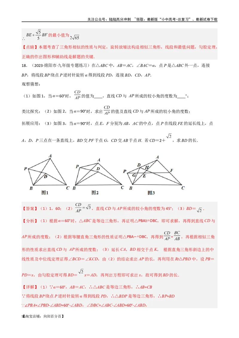 专题15全等与相似模型-手拉手模型（解析版）_02中考总复习（2026版更新中）_02-数学-中考总复习_2024年中考复习资料_专项复习资料_答案解析版