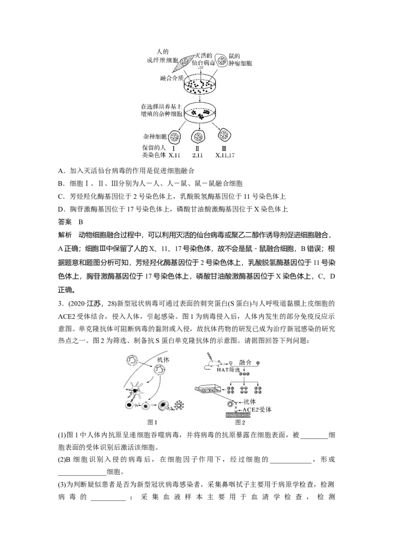 2024年高考生物一轮复习（新人教版）第10单元　第4课时　动物细胞工程_09高考生物_2024年新高考资料_1.2024一轮复习_2024年高考生物一轮复习讲义（新人教版）