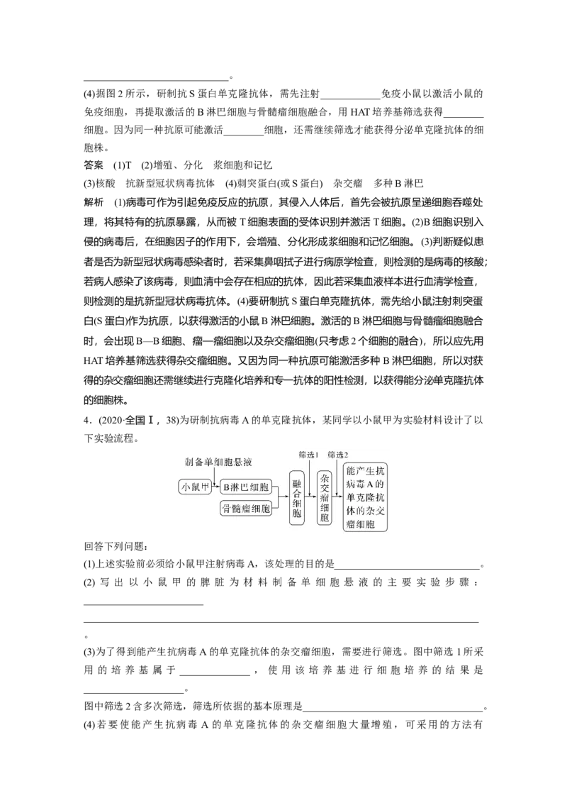 2024年高考生物一轮复习（新人教版）第10单元　第4课时　动物细胞工程_09高考生物_2024年新高考资料_1.2024一轮复习_2024年高考生物一轮复习讲义（新人教版）