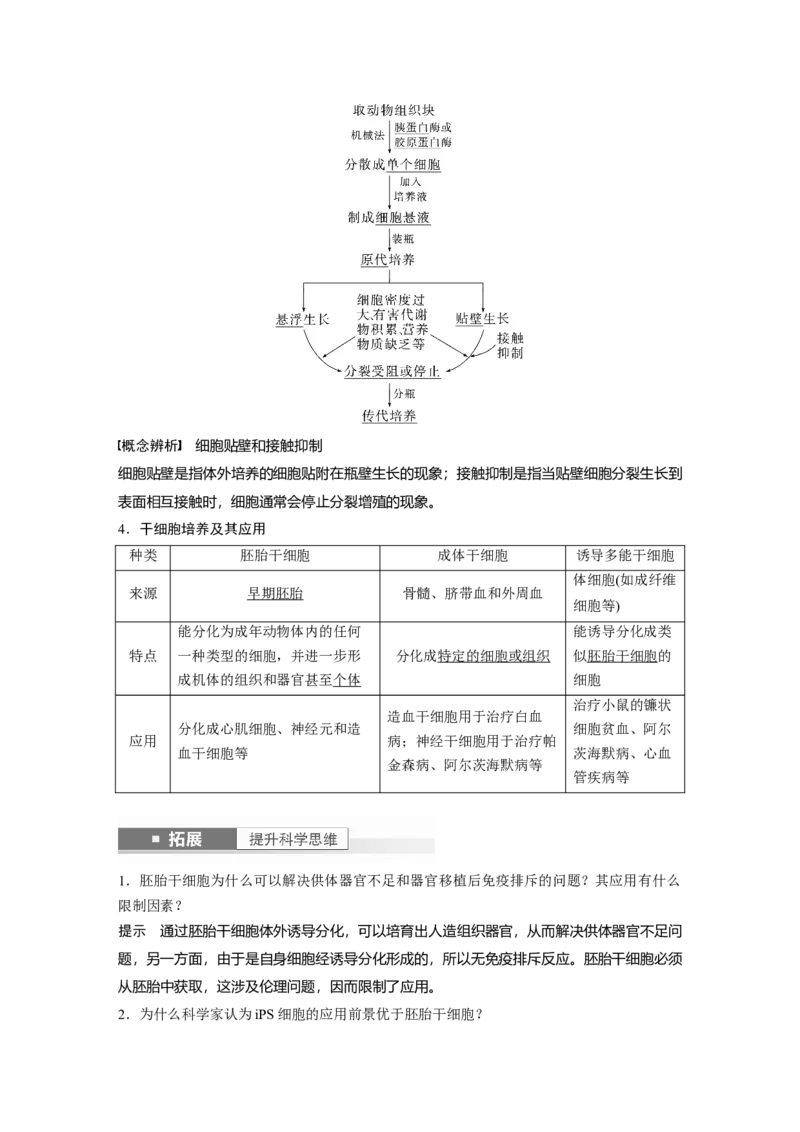 2024年高考生物一轮复习（新人教版）第10单元　第4课时　动物细胞工程_09高考生物_2024年新高考资料_1.2024一轮复习_2024年高考生物一轮复习讲义（新人教版）