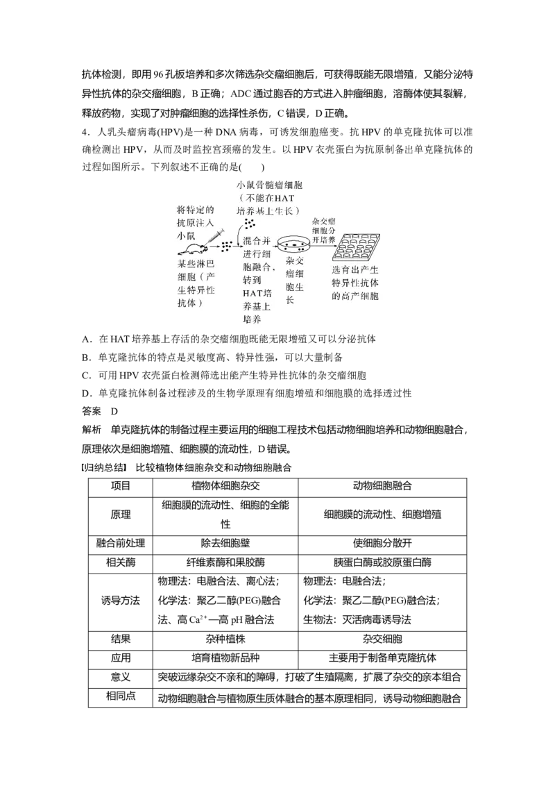 2024年高考生物一轮复习（新人教版）第10单元　第4课时　动物细胞工程_09高考生物_2024年新高考资料_1.2024一轮复习_2024年高考生物一轮复习讲义（新人教版）
