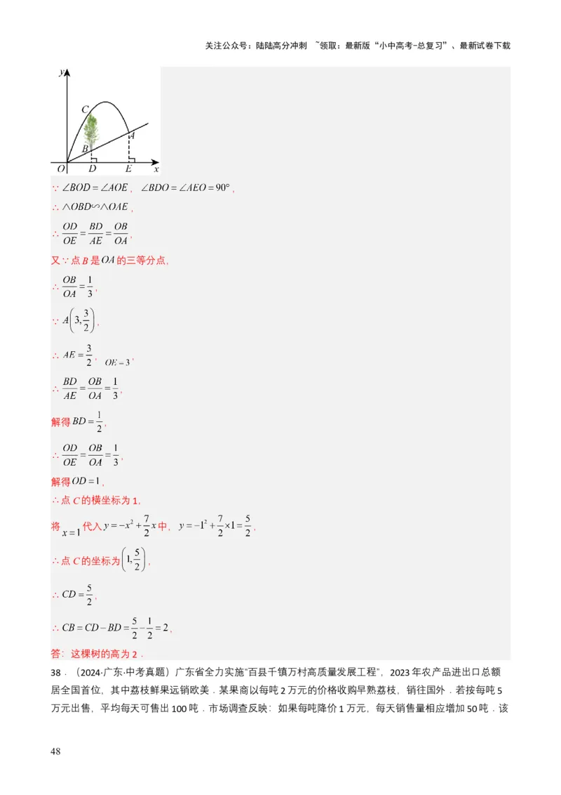 专题12二次函数（解析版）_02中考总复习（2026版更新中）_02-数学-中考总复习_2025中考复习资料_备战2025年中考数学真题题源解密（全国通用）