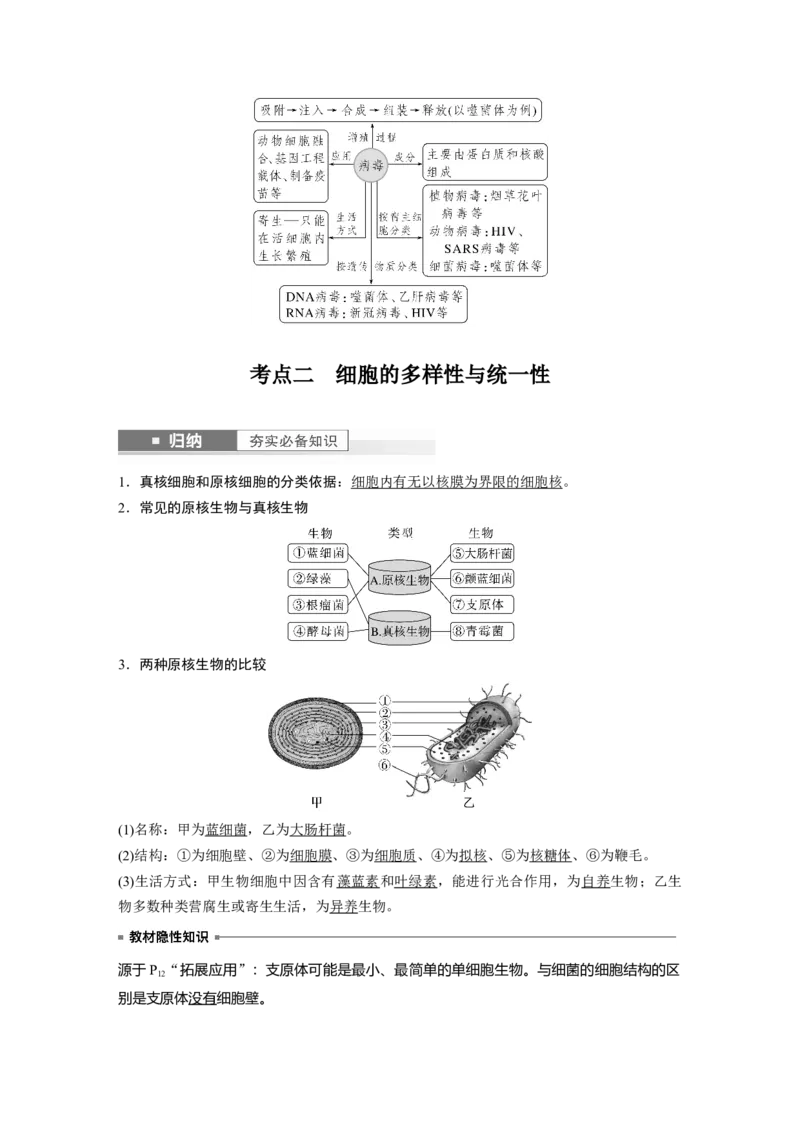2024年高考生物一轮复习（新人教版）第1单元　第1课时　走近细胞_09高考生物_2024年新高考资料_1.2024一轮复习_2024年高考生物一轮复习讲义（新人教版）