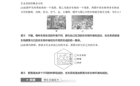 2024年高考生物一轮复习（新人教版）第9单元　第5课时　生态系统的结构_09高考生物_2024年新高考资料_1.2024一轮复习_2024年高考生物一轮复习讲义（新人教版）