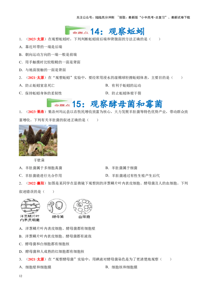 专题16&nbsp;实验（原卷版）_02中考总复习（2026版更新中）_08-生物-中考总复习_2024年中考复习资料_专项复习_完三年（2021-2023）中考生物真题分项汇编（全国通用）