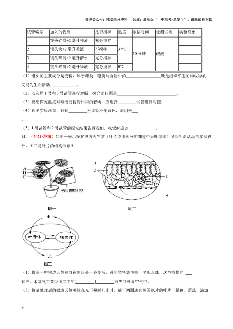 专题16&nbsp;实验（原卷版）_02中考总复习（2026版更新中）_08-生物-中考总复习_2024年中考复习资料_专项复习_完三年（2021-2023）中考生物真题分项汇编（全国通用）