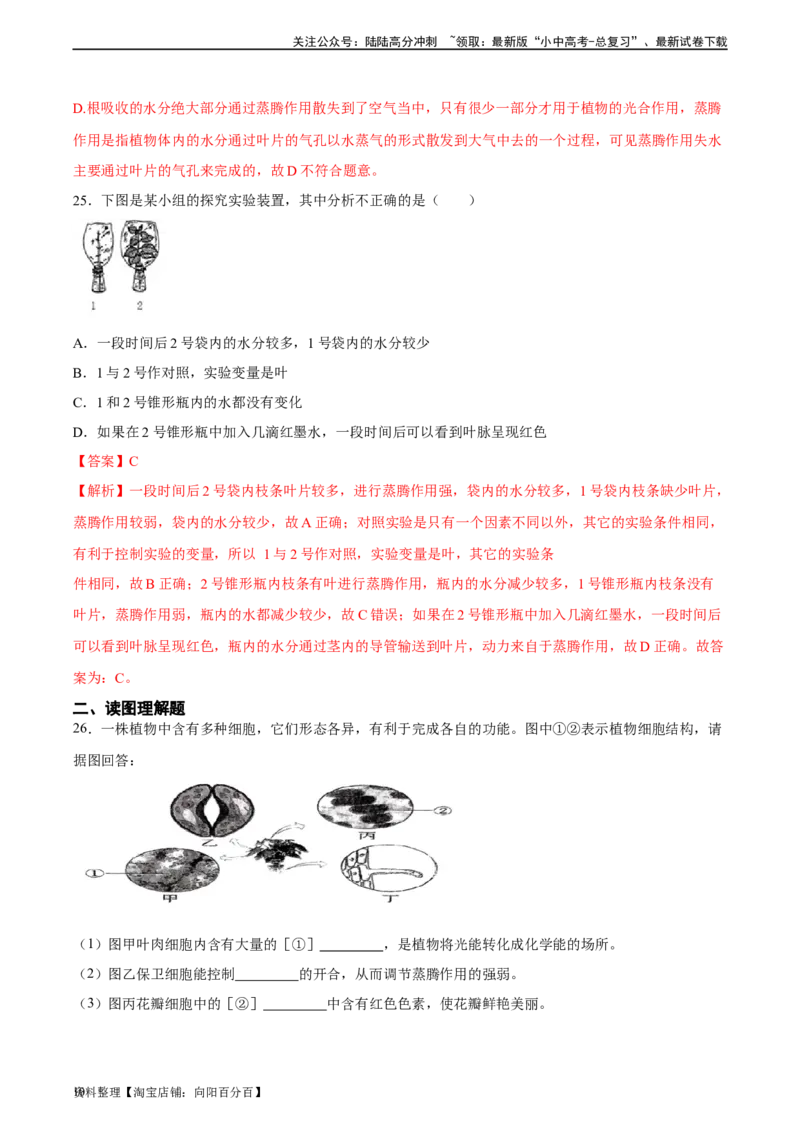 专题06绿色植物与生物圈中的水循环（习题精练）（解析版）_02中考总复习（2026版更新中）_08-生物-中考总复习_2024年中考复习资料_一轮复习_配套练习（原卷版+解析版）_答案解析版