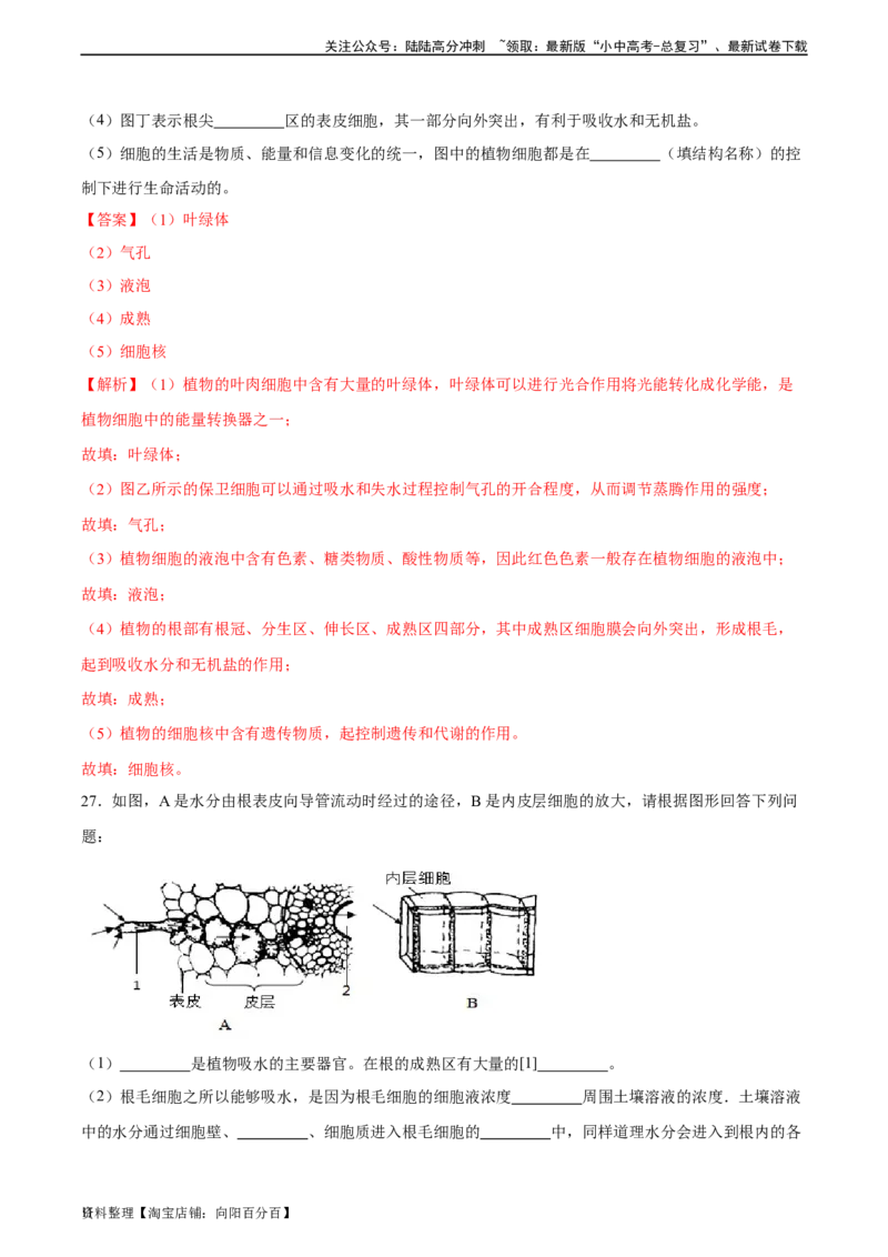 专题06绿色植物与生物圈中的水循环（习题精练）（解析版）_02中考总复习（2026版更新中）_08-生物-中考总复习_2024年中考复习资料_一轮复习_配套练习（原卷版+解析版）_答案解析版