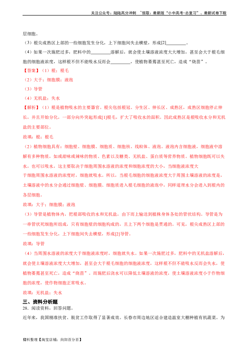 专题06绿色植物与生物圈中的水循环（习题精练）（解析版）_02中考总复习（2026版更新中）_08-生物-中考总复习_2024年中考复习资料_一轮复习_配套练习（原卷版+解析版）_答案解析版