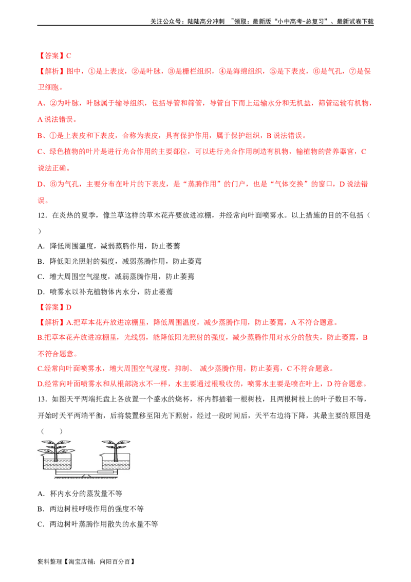 专题06绿色植物与生物圈中的水循环（习题精练）（解析版）_02中考总复习（2026版更新中）_08-生物-中考总复习_2024年中考复习资料_一轮复习_配套练习（原卷版+解析版）_答案解析版