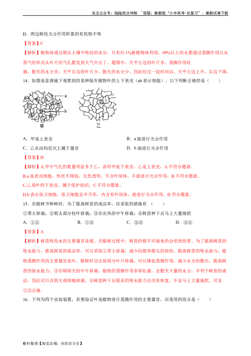 专题06绿色植物与生物圈中的水循环（习题精练）（解析版）_02中考总复习（2026版更新中）_08-生物-中考总复习_2024年中考复习资料_一轮复习_配套练习（原卷版+解析版）_答案解析版
