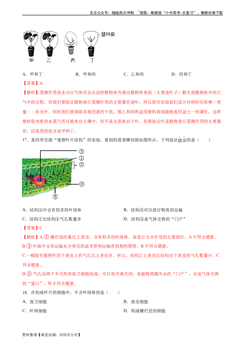 专题06绿色植物与生物圈中的水循环（习题精练）（解析版）_02中考总复习（2026版更新中）_08-生物-中考总复习_2024年中考复习资料_一轮复习_配套练习（原卷版+解析版）_答案解析版