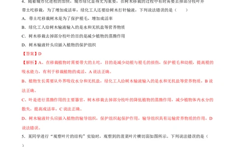 专题06绿色植物与生物圈中的水循环（习题精练）（解析版）_02中考总复习（2026版更新中）_08-生物-中考总复习_2024年中考复习资料_一轮复习_配套练习（原卷版+解析版）_答案解析版