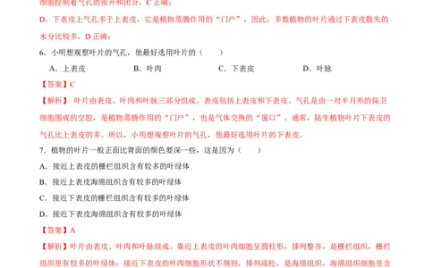专题06绿色植物与生物圈中的水循环（习题精练）（解析版）_02中考总复习（2026版更新中）_08-生物-中考总复习_2024年中考复习资料_一轮复习_配套练习（原卷版+解析版）_答案解析版