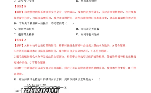 专题06绿色植物与生物圈中的水循环（习题精练）（解析版）_02中考总复习（2026版更新中）_08-生物-中考总复习_2024年中考复习资料_一轮复习_配套练习（原卷版+解析版）_答案解析版