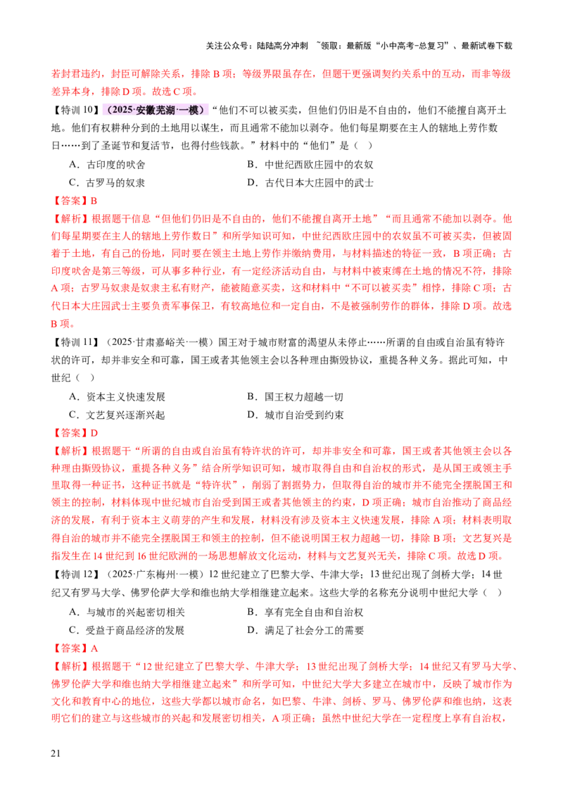 专题12文明交响：古代世界的多元之美与交流变奏（讲练）（解析版）_02中考总复习（2026版更新中）_06-历史-中考总复习_2025年中考复习资料_2025中考二轮课件ppt+讲义+练习历史_讲义+练习