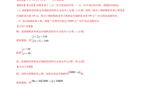 专题06方程（组）与不等式及函数的综合应用（解析版）_02中考总复习（2026版更新中）_02-数学-中考总复习_2025中考复习资料