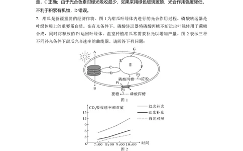 2024年高考生物一轮复习（新人教版）第3单元　微专题二　提高农作物产量_09高考生物_2024年新高考资料_1.2024一轮复习_2024年高考生物一轮复习讲义（新人教版）