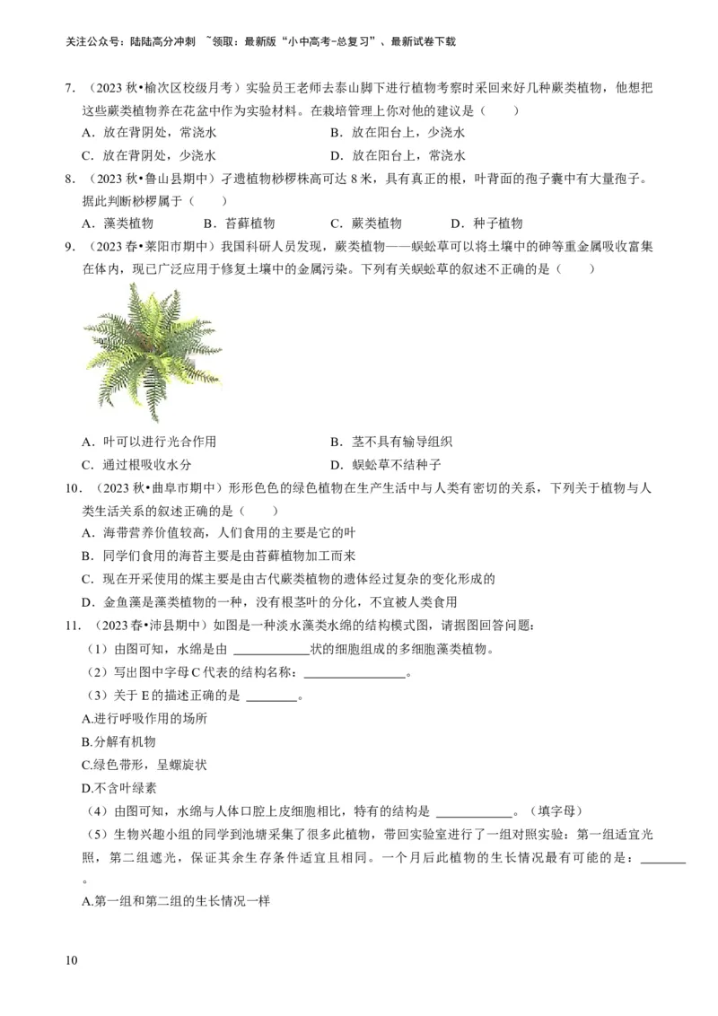 专题07生物圈中有哪些绿色植物（原卷版）_02中考总复习（2026版更新中）_08-生物-中考总复习_2024年中考复习资料_专项复习_备战2024年中考生物真题题源解密