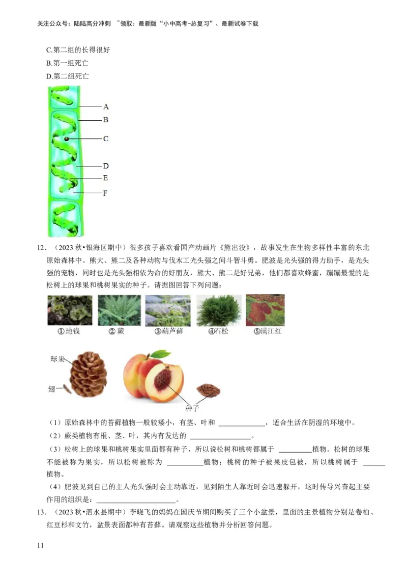 专题07生物圈中有哪些绿色植物（原卷版）_02中考总复习（2026版更新中）_08-生物-中考总复习_2024年中考复习资料_专项复习_备战2024年中考生物真题题源解密